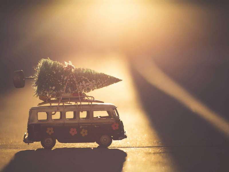 christmas tree on a surfvan