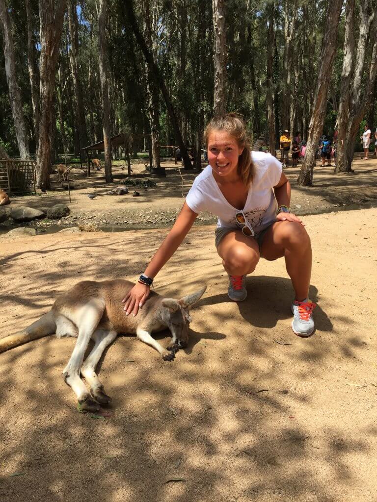 Australia kangur